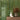 Green 2x16 Glossy Ceramic Subway Tile