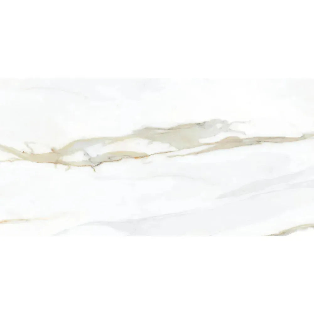Calacatta Gold 24x48 Polished Porcelain Tile