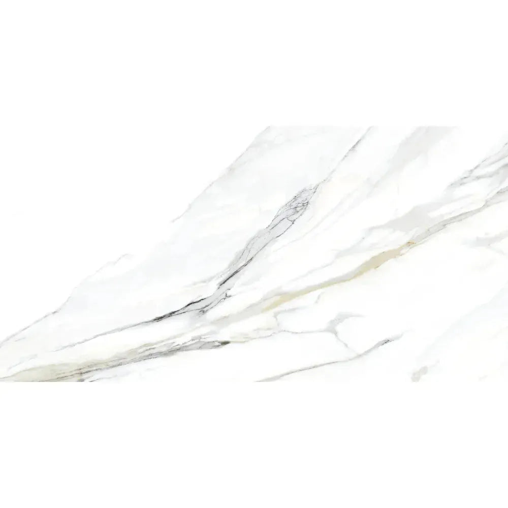 Calacatta Gold 24x48 Polished Porcelain Tile
