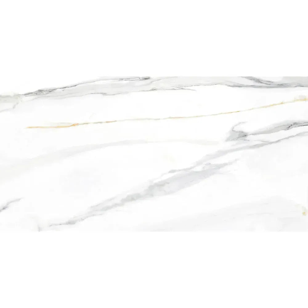 Calacatta Gold 24x48 Polished Porcelain Tile