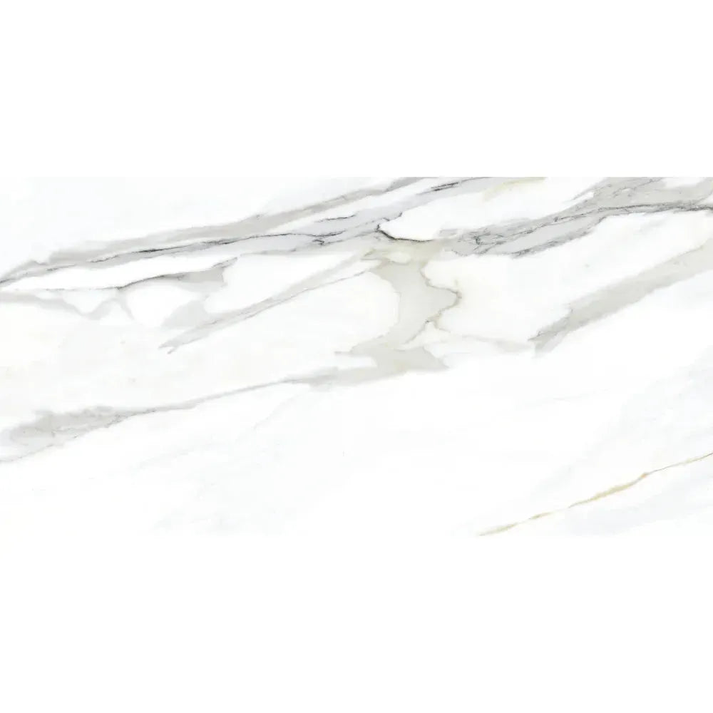 Calacatta Gold 24x48 Polished Porcelain Tile