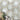 StoneBouquet Beige & Gray Polished Mosaic Tile