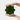 Moroccan Green Star 5x5 Polished Ceramic Tile - Aloft Tiles