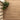Joy 8x48 Wood Look Matte Porcelain Floor Tile