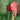 Vert Punto Down Glossy Ceramic Mosaic Tile